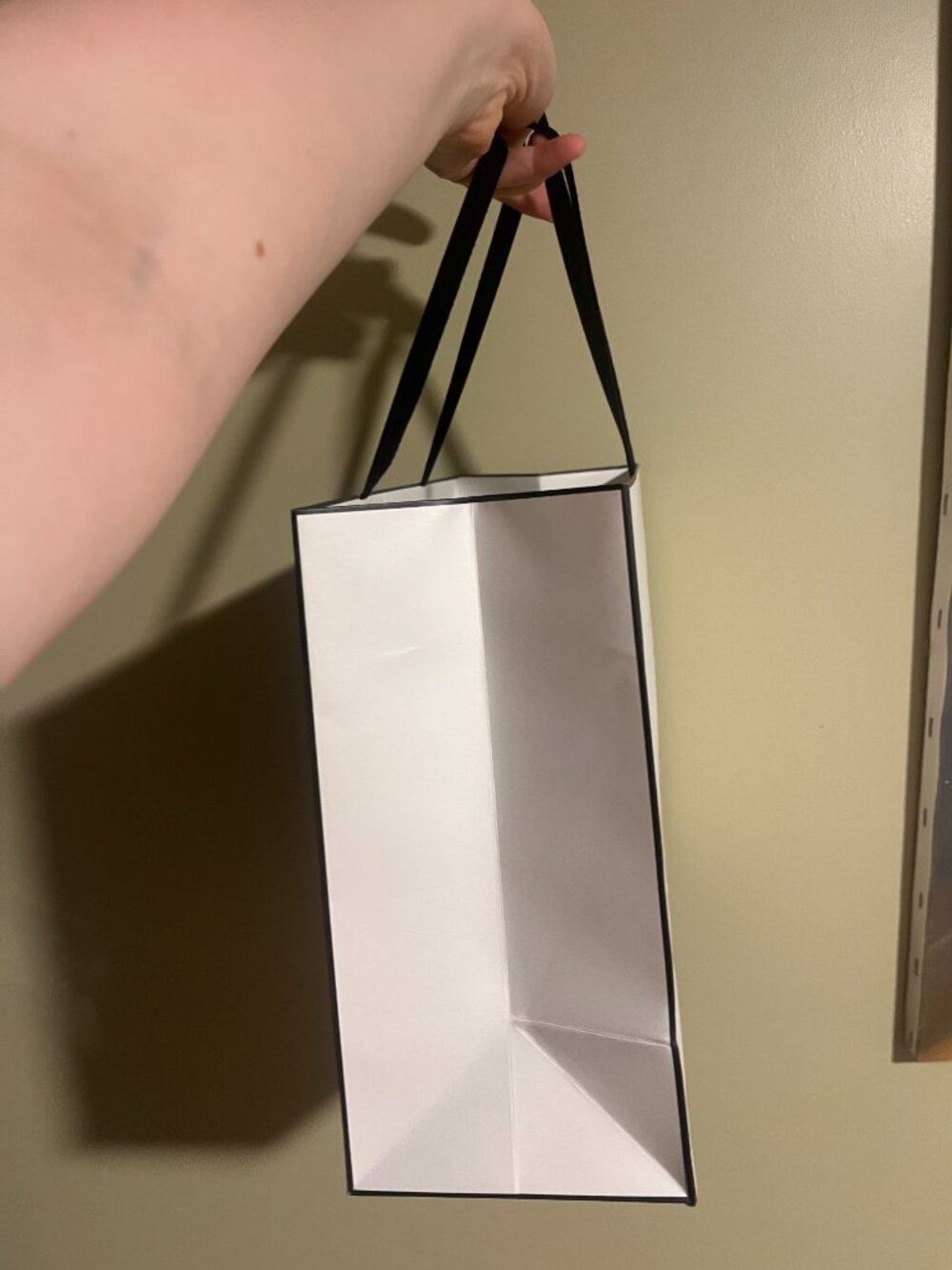 Chanel Bag + Box - Picture 10 of 13